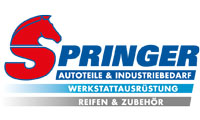 Logo Springer